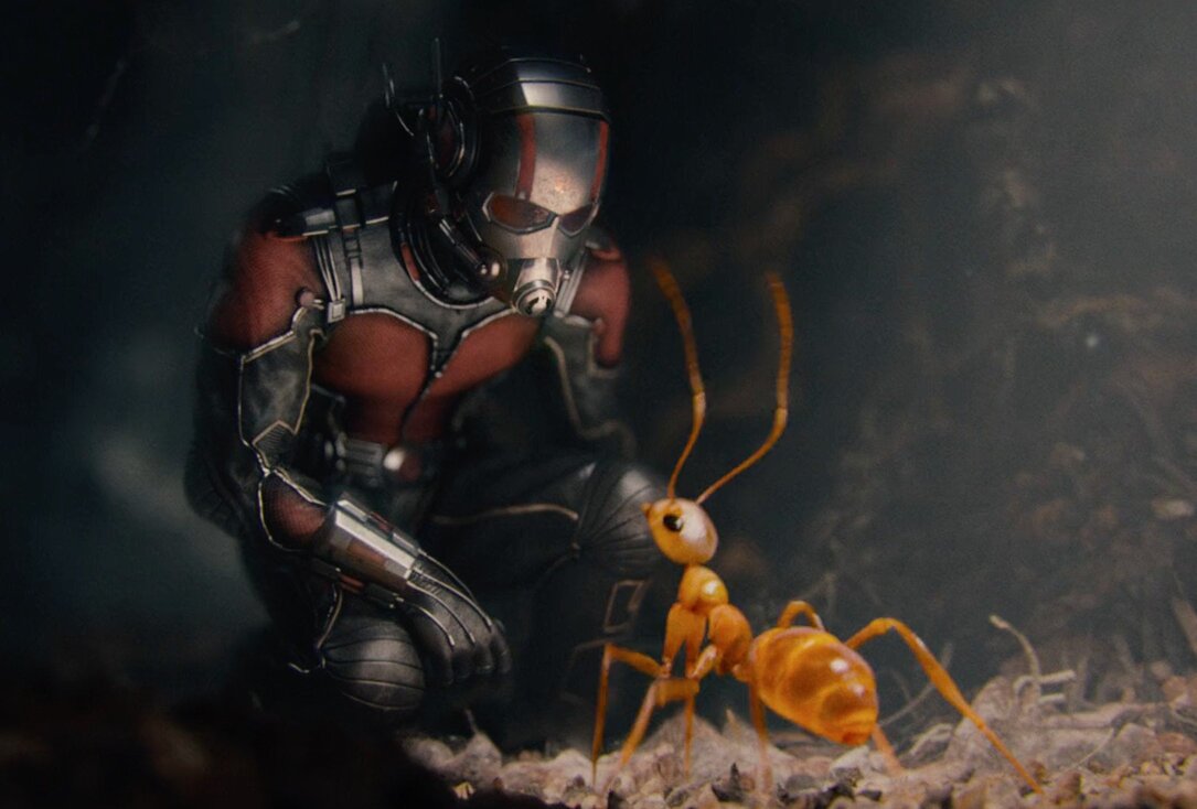 scott from ant-man